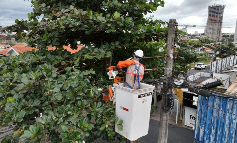 Podas preventivas reduzem o risco de interrupção no fornecimento de energia.